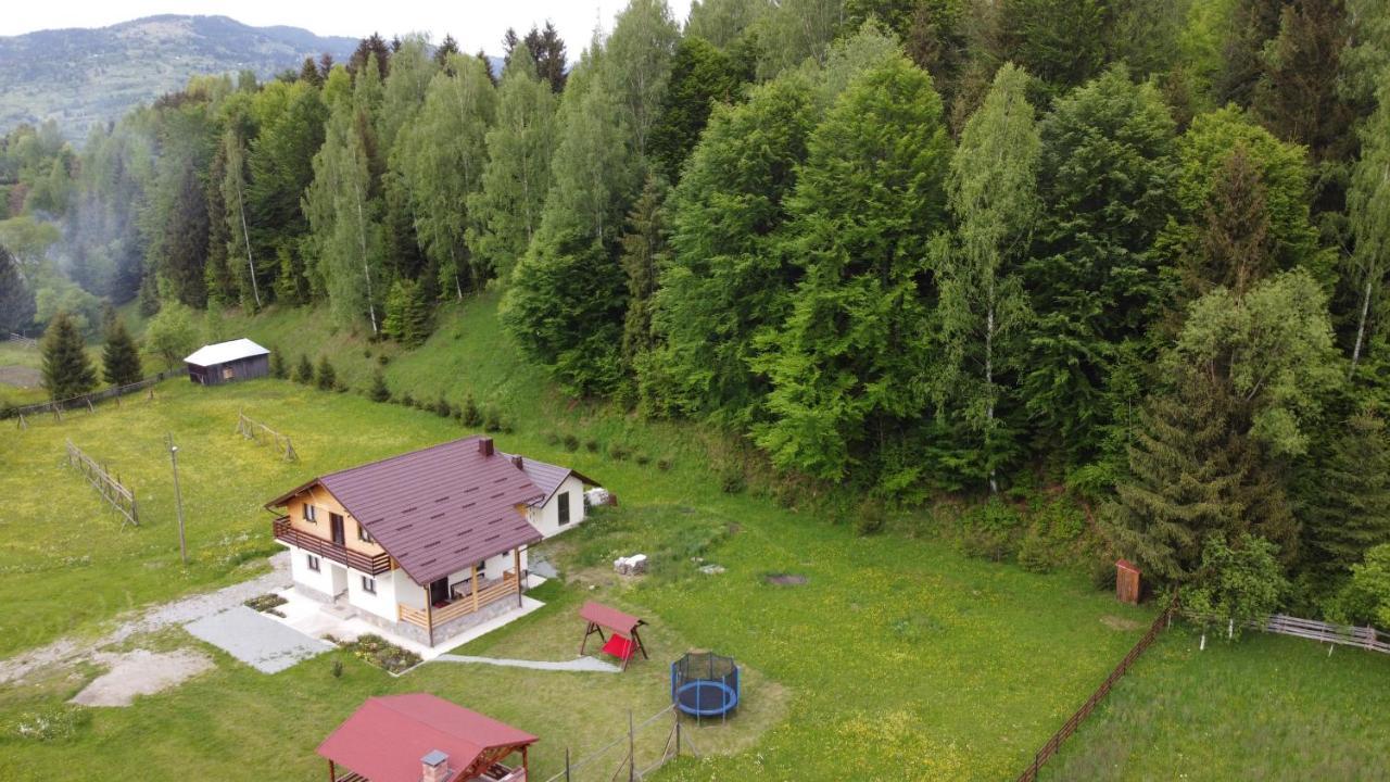 Pensiunea Floare de Colt Moisei Exterior foto
